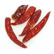 Sanam Stem chilly