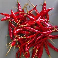 Super Hot Stem Chilly
