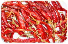 Teja Stem Chilly