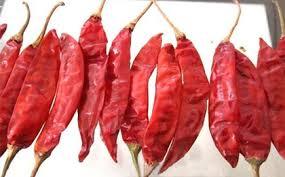 Wonder Hot Stem Chilly
