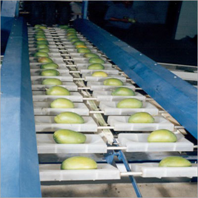 Fruit And Vegetable Pack House Facility Consultant