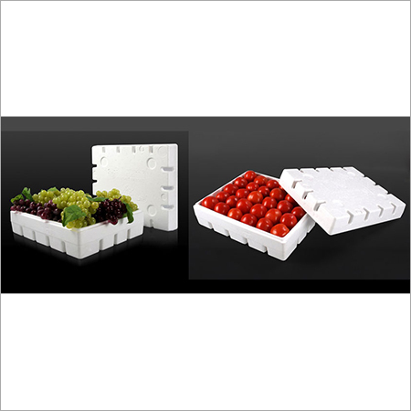 Thermocol Boxes