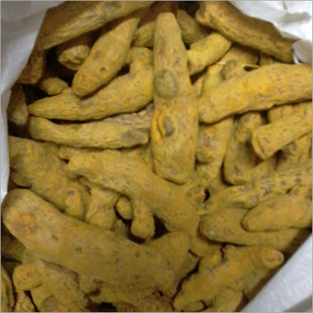 Dried Turmeric Finger