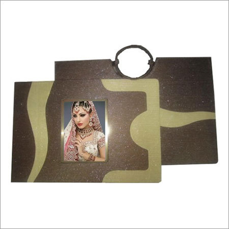 Album Bag & Matching Covers - Color: Brown