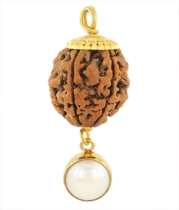 Large Five Mukhi Rudraksha Gemstone Pendant