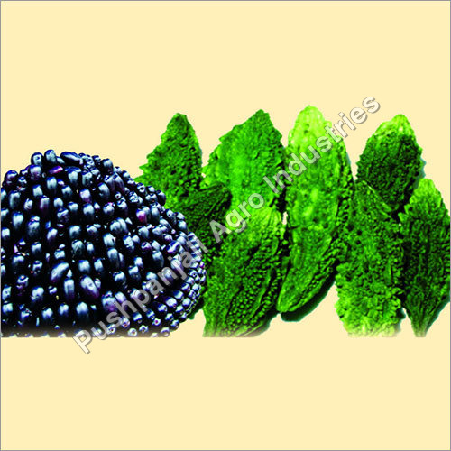 Karela Jamun Juice Machine