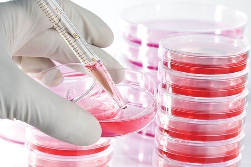 Bioculture