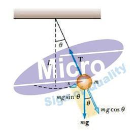 Simple Harmonic Motions - Metal and String, Variable Dimensions, Frequency and Amplitude | Oscillation Analysis, Motion Demonstration, Physics Education