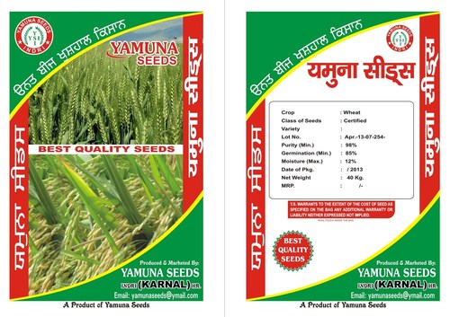 Hybrid PADDY SEEDS