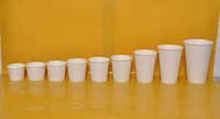 THERMOFARMING DISPOSABEL CROCKERY GLASS,CUP,PLATE MAKING MACHINE URGENT SALE IN GORGAUN HARYANA