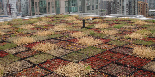 GRT green roof tray-2