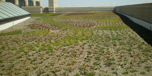 GRT green roof tray-3