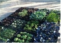 GRT green roof tray-4