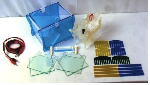 Mini Dual Electrophoresis System Hyderabad