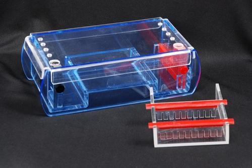 Submarine Electrophoresis Systems