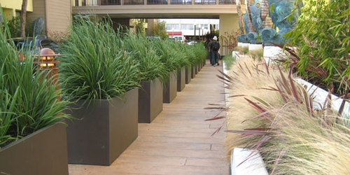 WR Wilshire-Rect 6