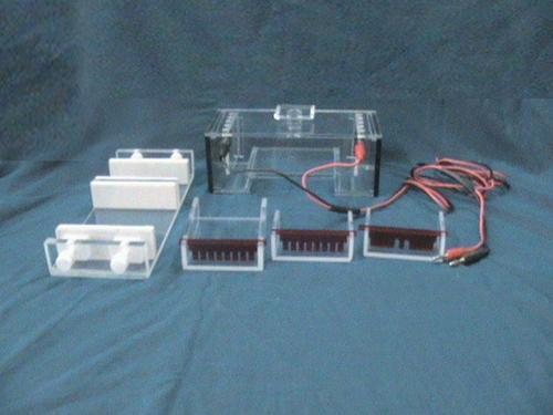 MINI Electrophoresis Systems