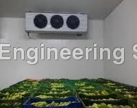 Banana Ripening Rooms
