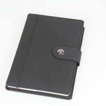 Executive Diary