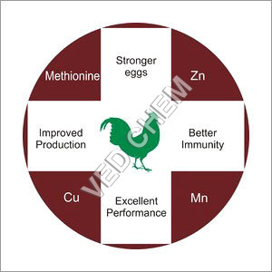 Poultry Feed Chemicals Poultry Feed Chemicals