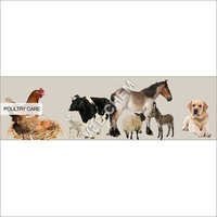 Poultry Veterinary Chemicals