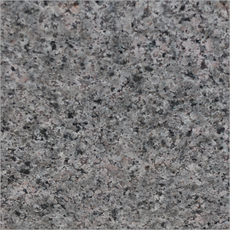 Nosra Green Granite Slab