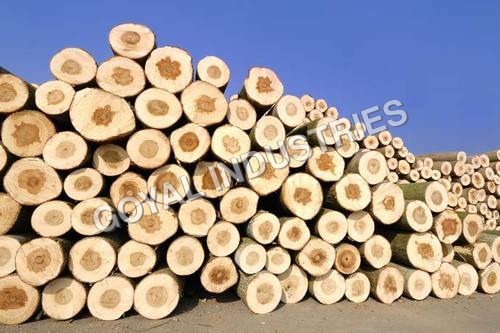 Harwood Wood Round Logs