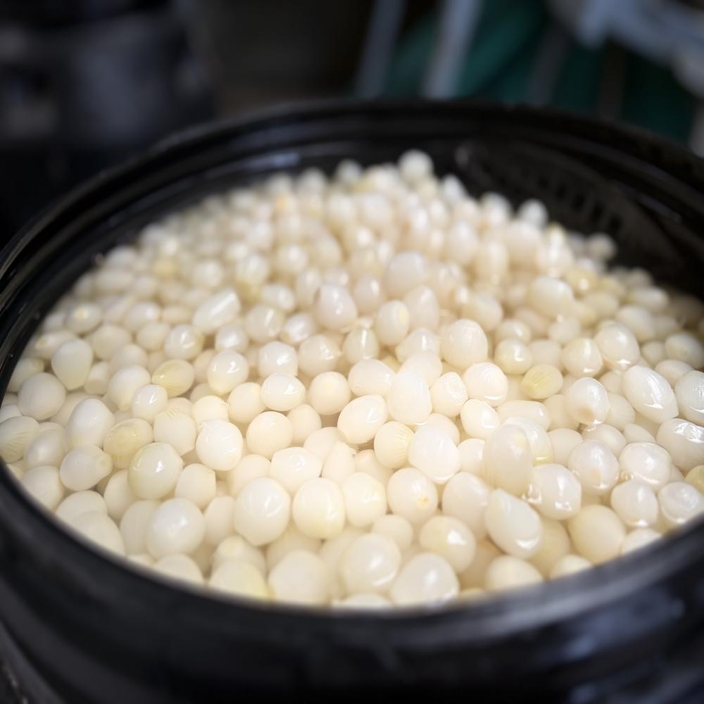 Preserved Silver Skin Onion