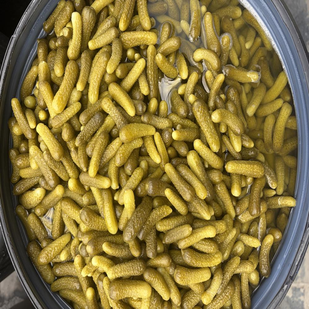 Preserved Gherkins Whole