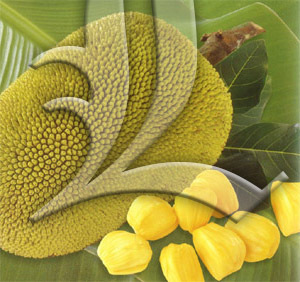 jackfruit products
