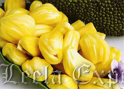 manufactures of jackfruit products