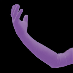Bird Flue Gloves