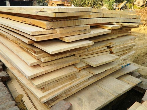 White Ash Wood
