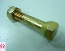 BOLT W/NUT