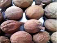 Baheda Fruit