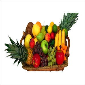 Fruit Cold Storage Solutions