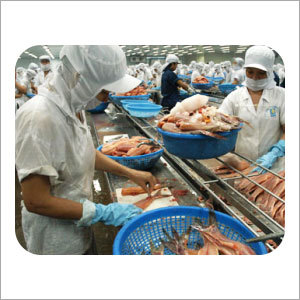 Fisheries & Sea Food Refrigeration Solutions