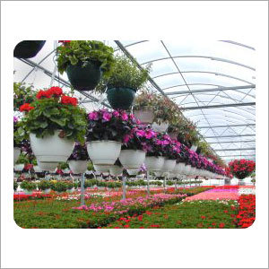 Floriculture Cold Room Solution