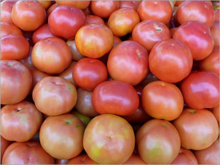 Fresh Tomato