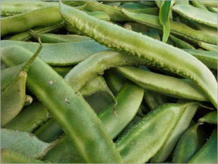Bean Pod