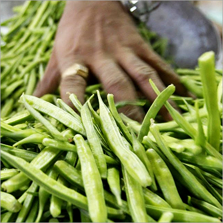 Guar Seeds