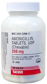 Amoxicillin chewable tabs. 250mg