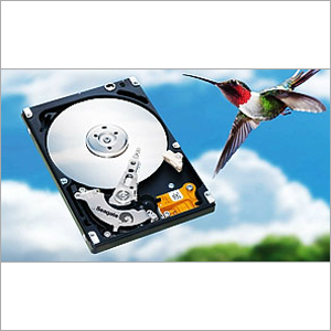 SSL Certificate Services