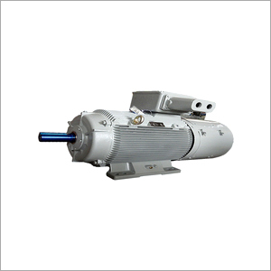 Crane Duty Motor