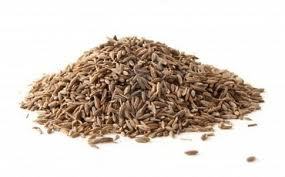 Fresh Cumin Seeds