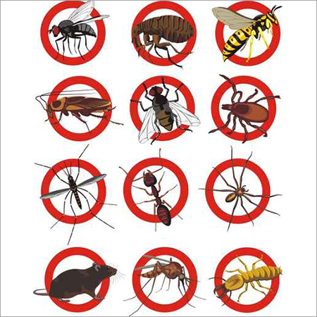Pest Control Services