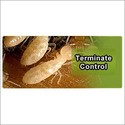 Terminate Control