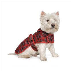 Pet Apparel