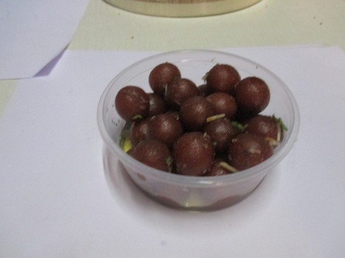 Mini Gulab Jamun