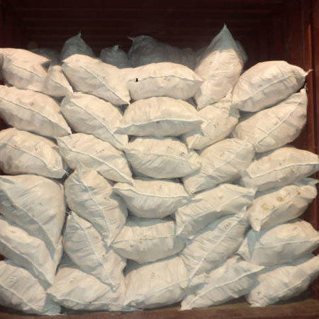 Cuttle fish bone loaded into container